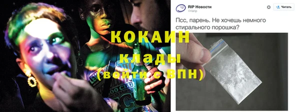 прущие грибы Нягань