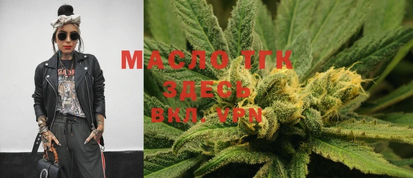 тгк Няндома