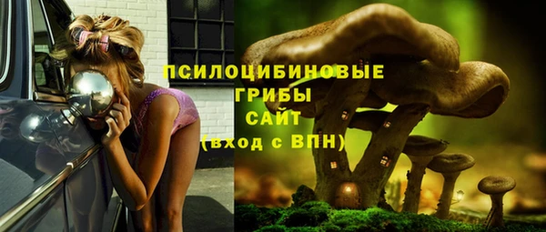 прущие грибы Нягань