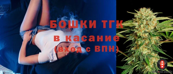прущие грибы Нягань