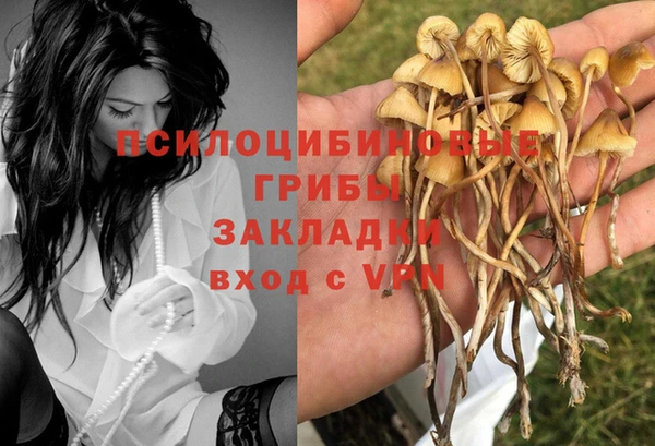 МДПВ Абаза